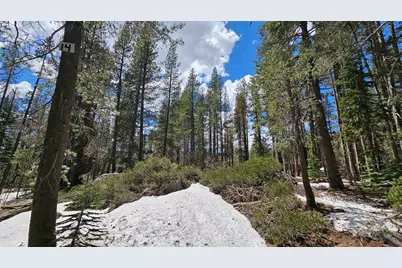 10060 Bunny Hill Road, Soda Springs, CA 95728 - Photo 5