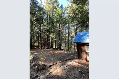 44200 Highway 20, Emigrant Gap, CA 95715 - Photo 21
