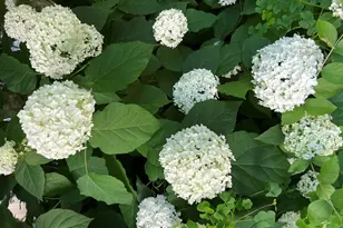 W222N8208 Plainview Pkwy, Lisbon, WI 53089 - Photo 71