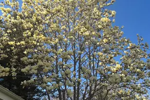 W222N8208 Plainview Pkwy, Lisbon, WI 53089 - Photo 79