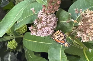 W222N8208 Plainview Pkwy, Lisbon, WI 53089 - Photo 85