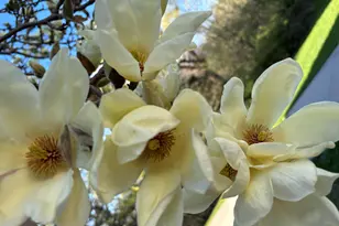 W222N8208 Plainview Pkwy, Lisbon, WI 53089 - Photo 81