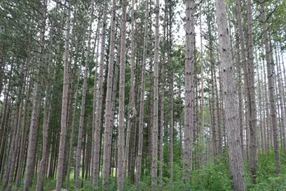 7855  Indian Lore Rd #26, Farmington, WI 53090 - Photo 1