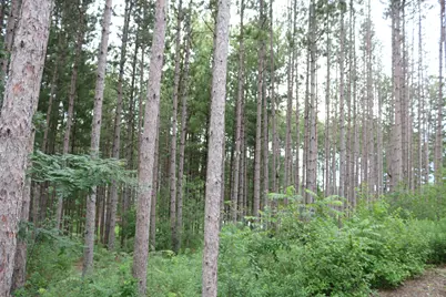 7855  Indian Lore Rd #26, Farmington, WI 53090 - Photo 3
