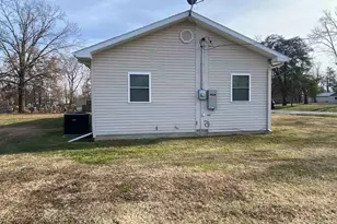 190 Public St, Muddy, IL 62965 - Photo 3