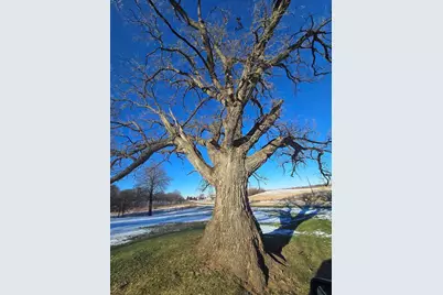 12719 Gardenplain Road, Morrison, IL 61270 - Photo 15