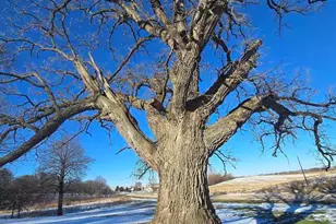 12719 Garden Plain Rd, Morrison, IL 61270 - Photo 15