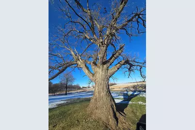 12719 Gardenplain Road, Morrison, IL 61270 - Photo 15