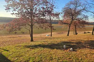 930 42nd St, New Boston, IL 61272 - Photo 17