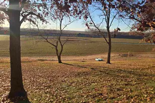 930 42nd St, New Boston, IL 61272 - Photo 15