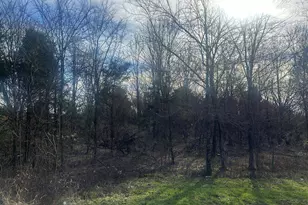 3115 Tunnel Hill Rd Rd, Ozark, IL 62972 - Photo 35