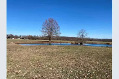 7038 Robin, Dubois, IL 62831 - Photo 21