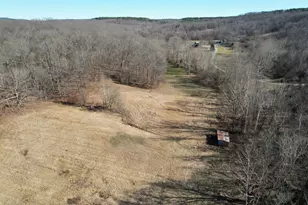 342 Bassett Rd, Elizabethtown, IL 62931 - Photo 59