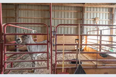 1740 Brier Creek Road #1, Harrisburg, IL 62946 - Photo 39