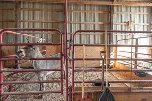 1740 Brier Creek Rd, Harrisburg, IL 62946 - Photo 39