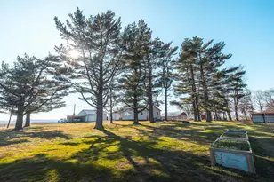 1740 Brier Creek Rd, Harrisburg, IL 62946 - Photo 9