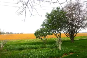 306 College Blvd, Carmi, IL 62821 - Photo 23