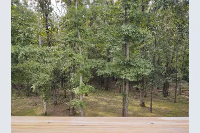 1475 Hound Dog Ridge Road, Vienna, IL 62995 - Photo 27