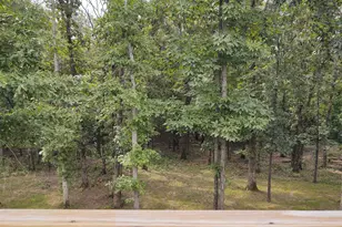 1475 Hound Dog Ridge Rd, Vienna, IL 62995 - Photo 27
