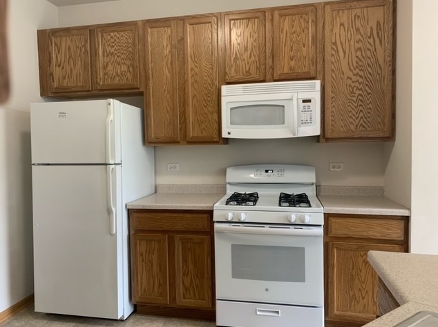 233 Alder Creek Dr, Romeoville IL  60446-5350 exterior