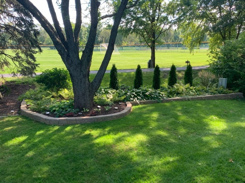241 Herbert St, Downers Grove IL  60515-2206 exterior