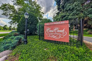1121 W Ogden Ave, Naperville, IL 60563 - Photo 3