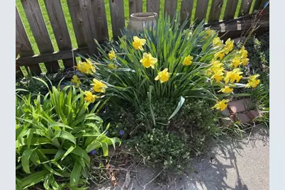 [Address not provided], Wheaton, IL 60187 - Photo 51