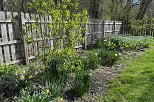 [Address not provided], Wheaton, IL 60187 - Photo 49