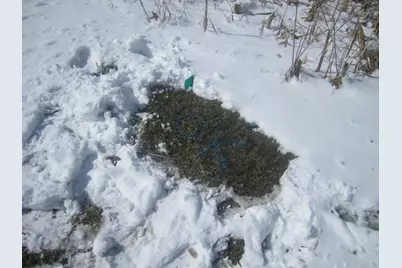 27W0S Roosevelt Road, Winfield, IL 60190 - Photo 5