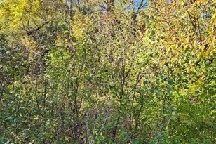 27W0S Roosevelt Rd, Winfield, IL 60190 - Photo 1