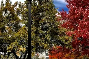 [Address not provided], Bloomingdale, IL 60108 - Photo 77