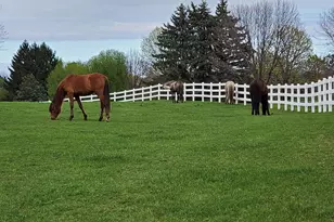 36625 N Kimberwick Ln, Wadsworth, IL 60083 - Photo 7