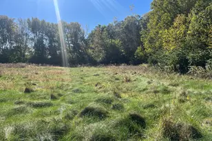 211 Norfolk Way, Essex, IL 60935 - Photo 1