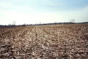 31W255 Roosevelt Rd, West Chicago, IL 60185 - Photo 1