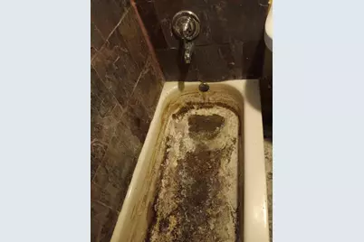 1436 S Karlov Avenue, Chicago, IL 60623 - Photo 19