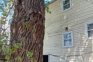 1436 S Karlov Ave, Chicago, IL 60623 - Photo 15