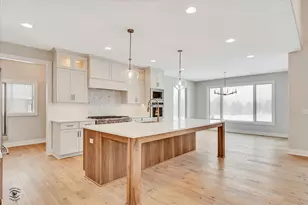 23155 5 Oaks Dr, Frankfort, IL 60423 - Photo 11