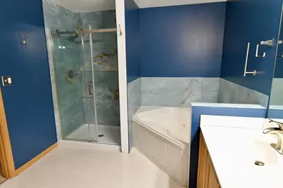 2520 Cedar Glen Drive N, Lynwood, IL 60411 - Photo 11