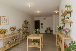 9806 Grand Ave, Franklin Park, IL 60131 - Photo 3