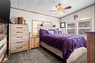 41 Largemouth Ln, Wilmington, IL 60481 - Photo 19