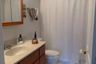 614 Tralee Ct, Schaumburg, IL 60193 - Photo 13