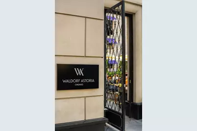 11 E Walton Street #3101, Chicago, IL 60611 - Photo 33