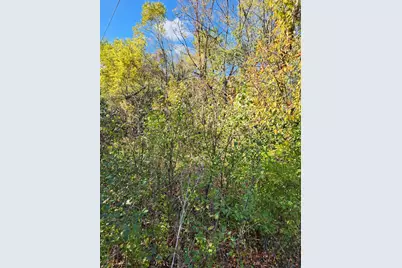 0S760 Cleveland Street, Winfield, IL 60190 - Photo 1