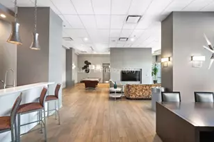 1211 S Prairie Ave, Chicago, IL 60605 - Photo 37