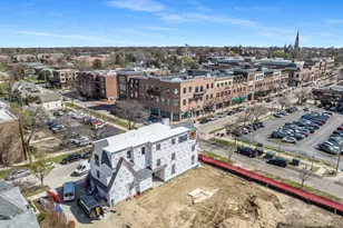 103 S Webster St, Naperville, IL 60540 - Photo 41