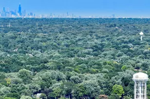 103 S Webster St, Naperville, IL 60540 - Photo 33