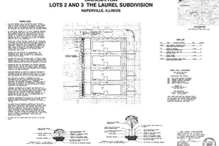 103 S Webster St, Naperville, IL 60540 - Photo 35