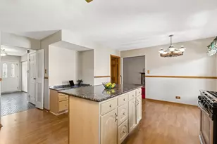 1016 W Brittany Dr, Arlington Heights, IL 60004 - Photo 9