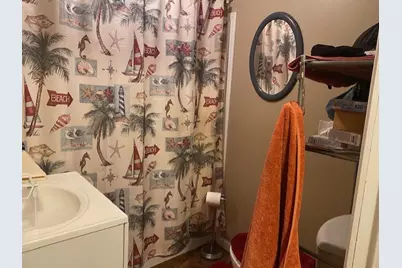 520 W Devlin Street, Spring Valley, IL 61362 - Photo 9