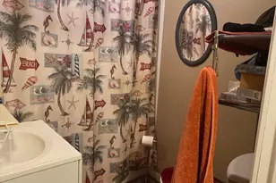 520 W Devlin St, Spring Valley, IL 61362 - Photo 9